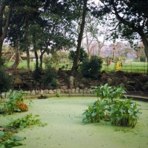 Penlee Park Pond