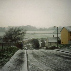 Snowy Lower Peverell Road