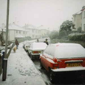 Snowy Harbour View Crescent