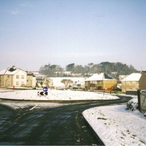 Snowy Treneere