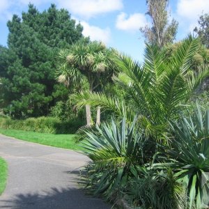 Subtropical Morrab Gardens