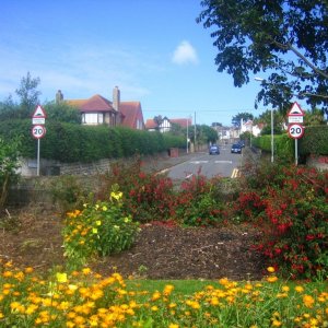 Lidden Road and the gardens