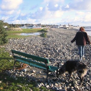 Bench on the beach