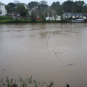 The Millpond, Hayle