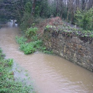 Millpond Stream. Hayle