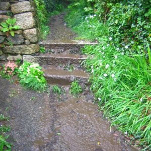 Three Steps to Three Fields