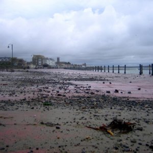 Pebbles on the Prom 1