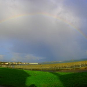 An Autumn Rainbow