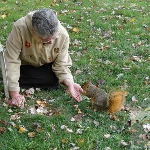 Hand feeding wild life