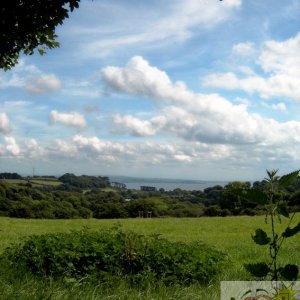 Bay Clouds