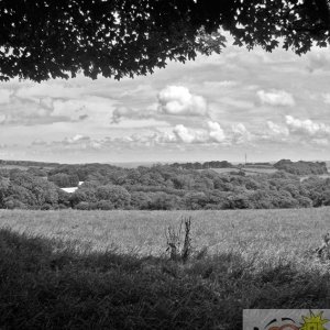 Fields and Clouds