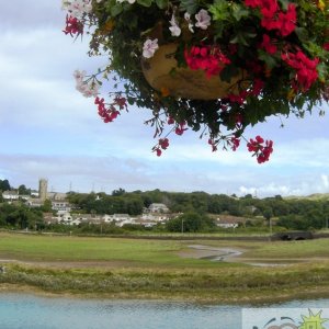 Hayle in Bloom 02