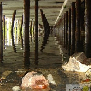 Under Newlyn Pier - 1