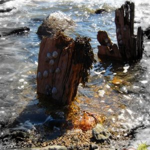 Tolcarne Sea Defence