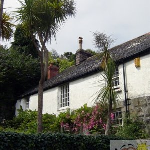 Newlyn Coombe
