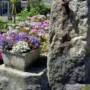 Art Gallery Terrace