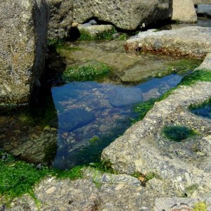 Tolcarne Rock Pool 001