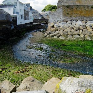 Tolcarne Rocks_04