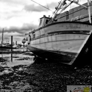 Low Tide Newlyn