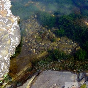 Coastal Rock Pool 1