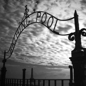 Bathing Pool Gates