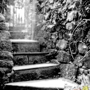 Let The Light Come Down