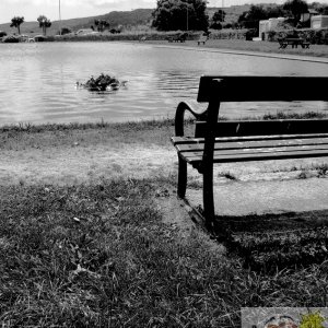 Boating Pond Bench