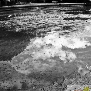 Boating Pond Drained