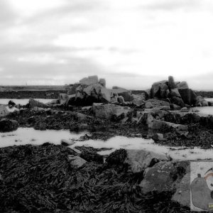 Low Tide Rocks