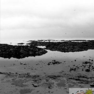 Beach View