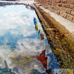 Promenade Reflections