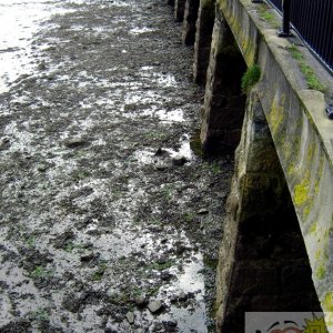 Low Tide Penzance Harbour 4