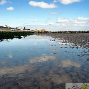 Sunny Low Tide