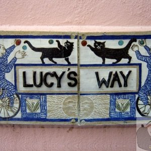 Lucy's Way