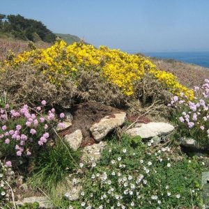 Lamorna walk.