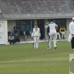 Local cricket