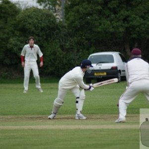 Local cricket