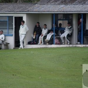 local cricket