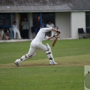 local cricket