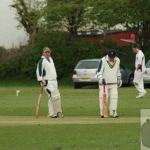 Local Cricket