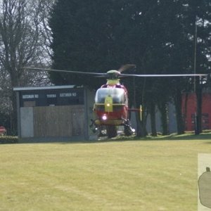 Strange way to watch the cricket