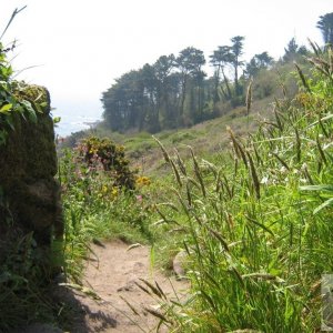 Lamorna walk