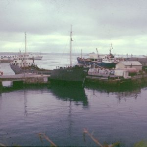 Docking Pauline-S 5