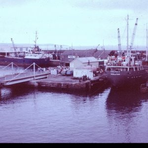 Docking of Pauline-S 14