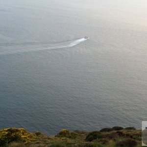 Lifeboat exercise 8