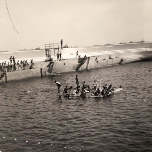 Fleet in the bay