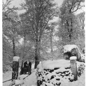 The Snows of 1947 - Polgoon