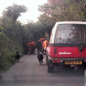 Nancledra traffic jam