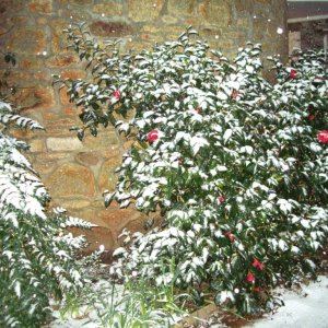 Paul in the Snow