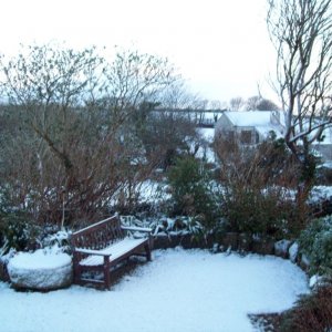 Paul in the Snow